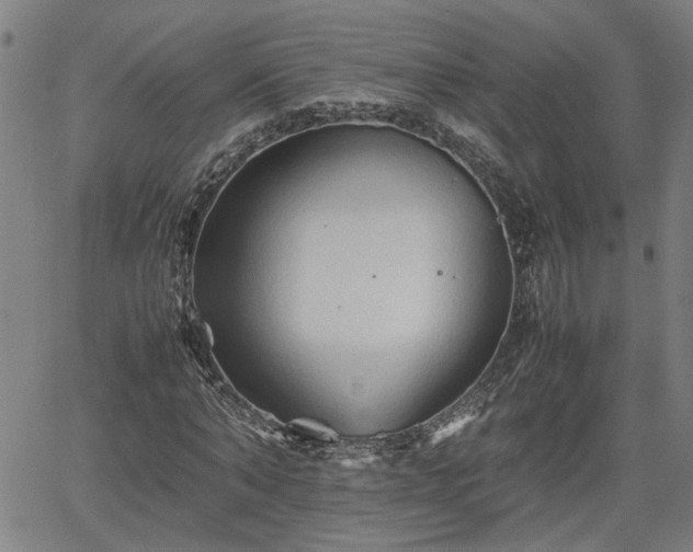 X0000062170870200512161248