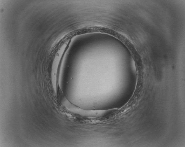 X0000062170871200512161248