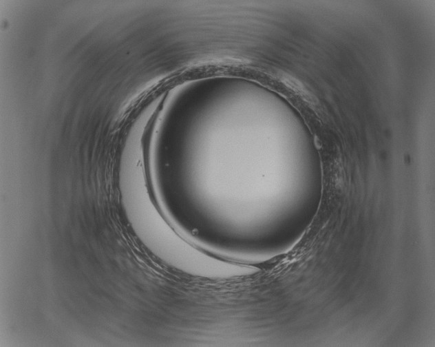 X0000062170872200512161248