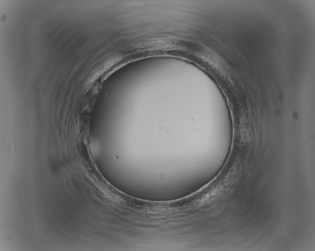 X0000062170873200512161248