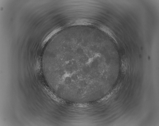 X0000062170874200512161248