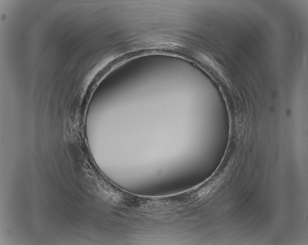 X0000062170875200512161248