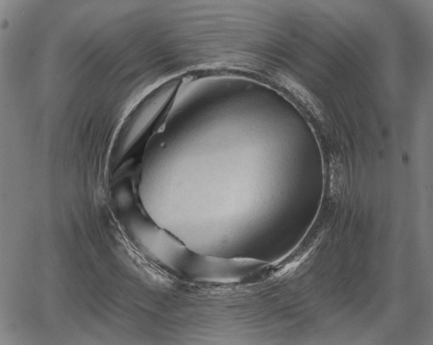 X0000062170876200512161248