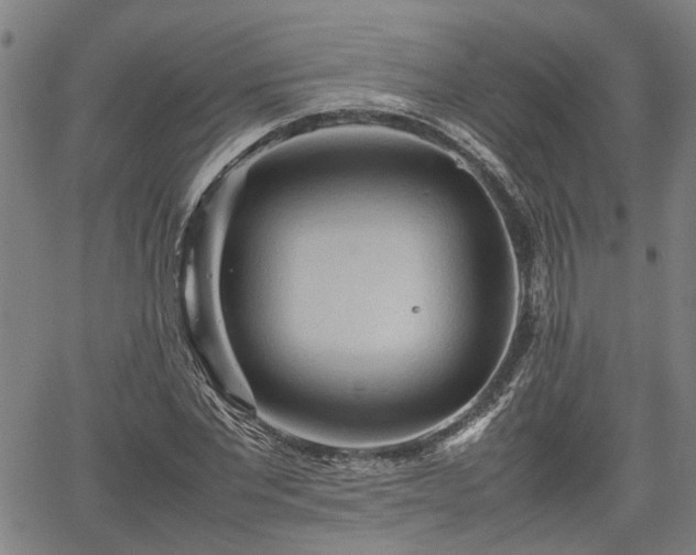 X0000062170877200512161248