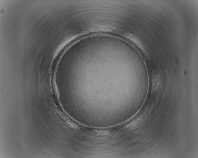 X0000062170878200512161248