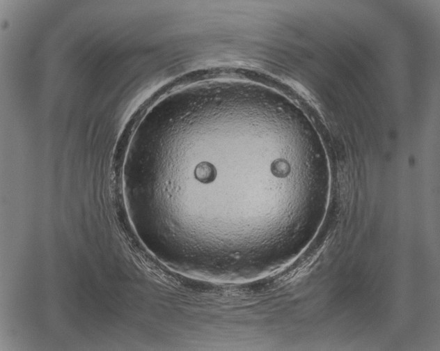 X0000062170879200512161248