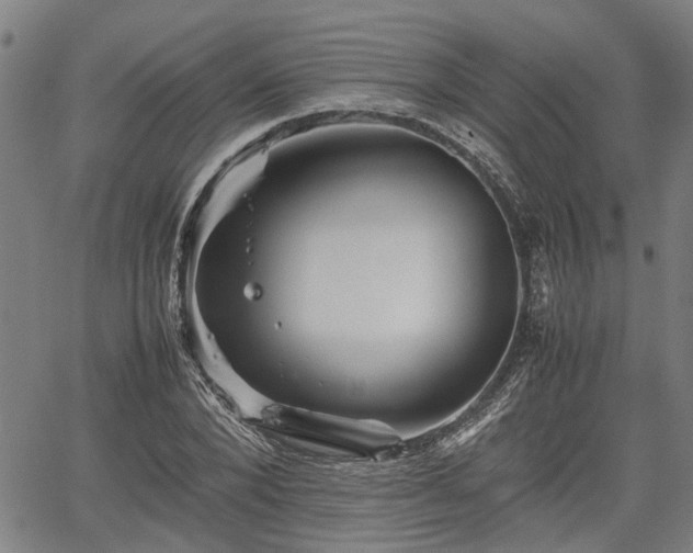 X0000062170880200512161248