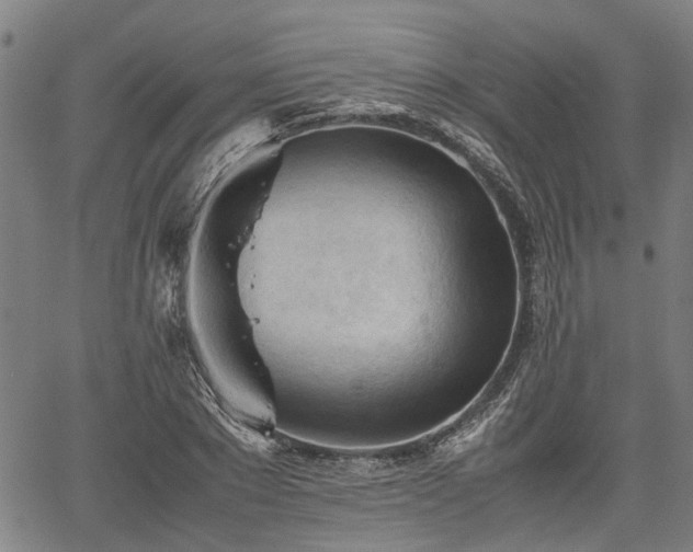 X0000062170881200512161248