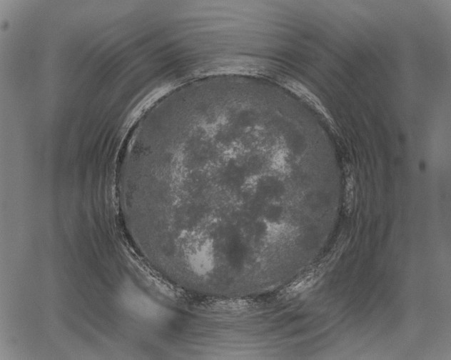 X0000062170882200512161248