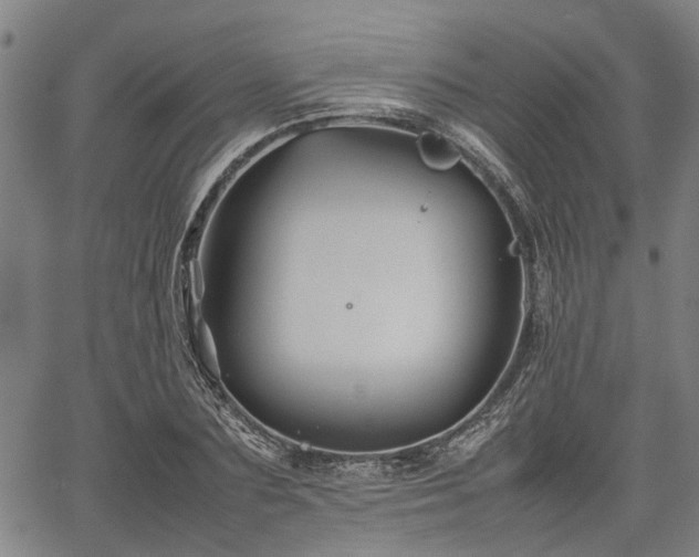 X0000062170883200512161248