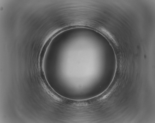 X0000062170884200512161248