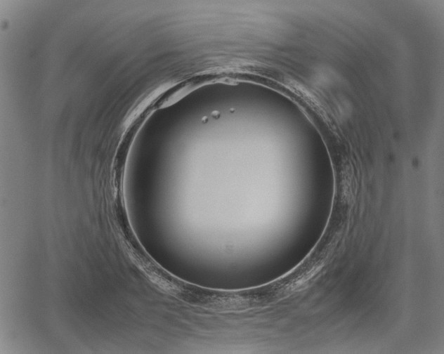 X0000062170885200512161248