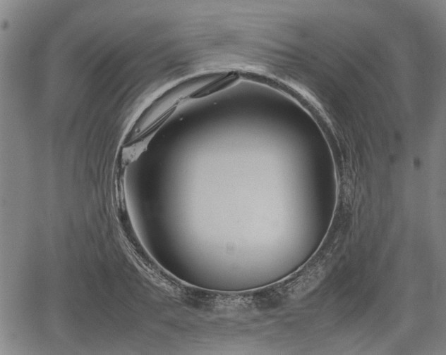 X0000062170887200512161248