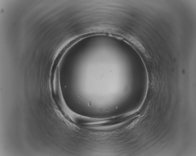 X0000062170888200512161248