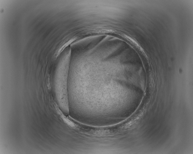 X0000062170889200512161248