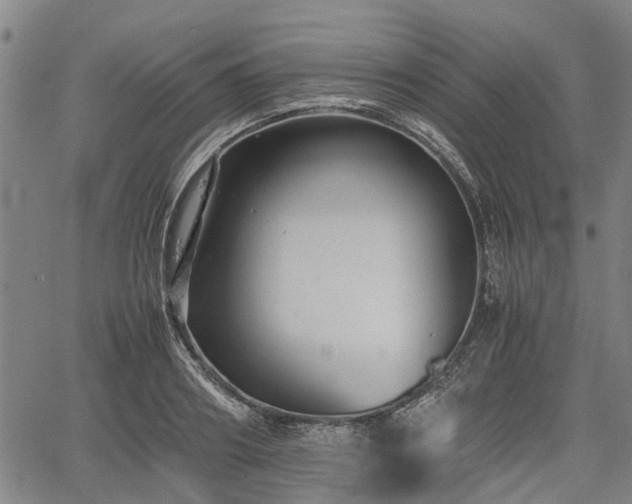 X0000062170890200512161248