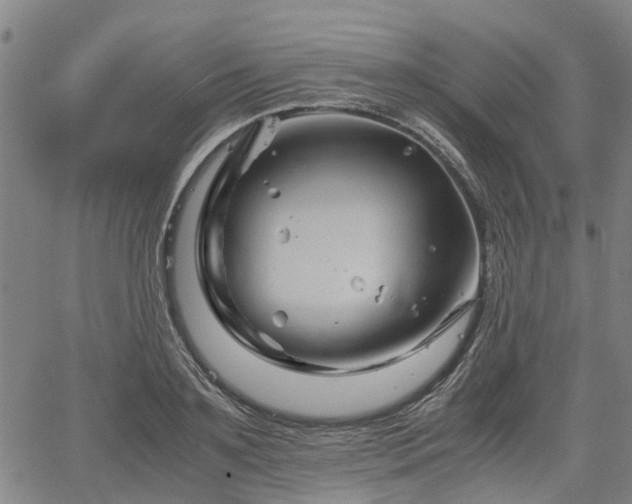 X0000062170891200512161248