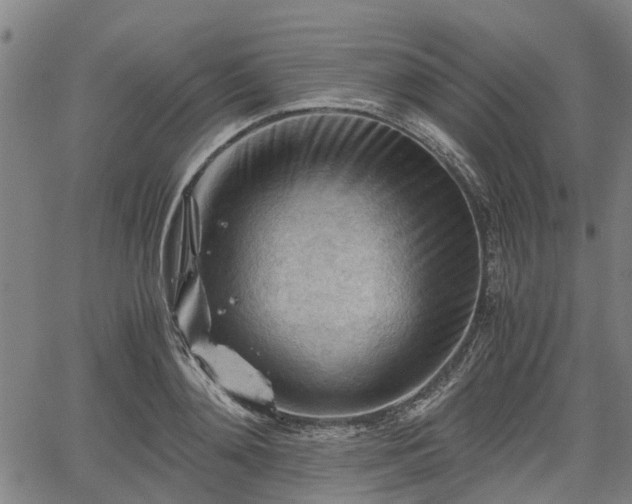 X0000062170892200512161248