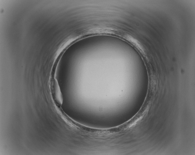 X0000062170893200512161248