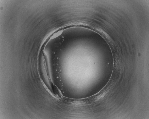 X0000062170894200512161248