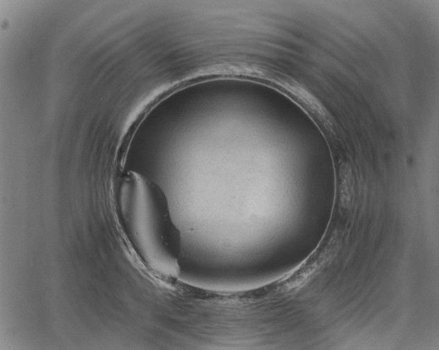 X0000062170896200512161248