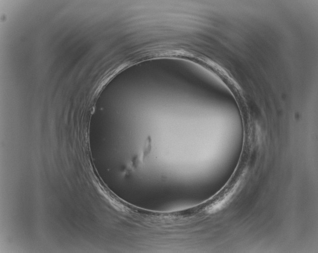 X0000062170897200512161248