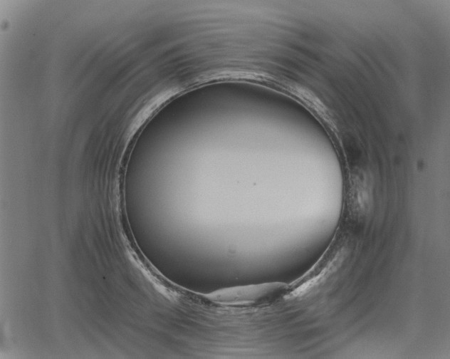 X0000062170898200512161248