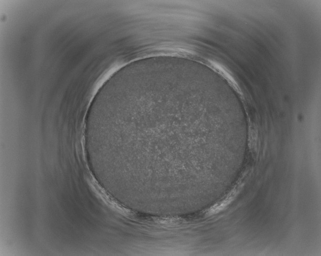 X0000062170899200512161248