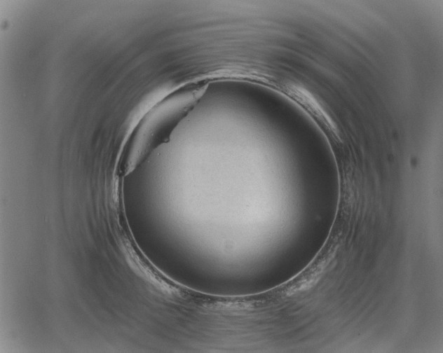 X0000062170900200512161248