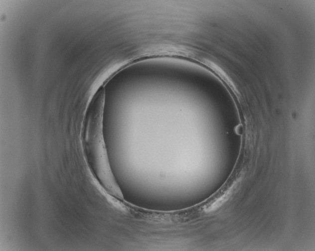 X0000062170901200512161248