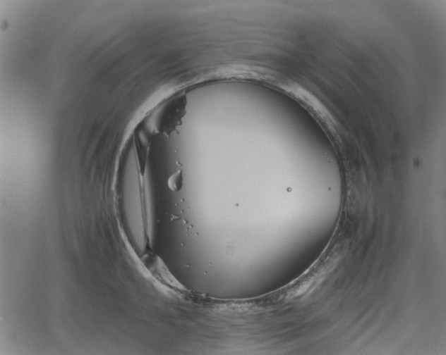 X0000062170902200512161248