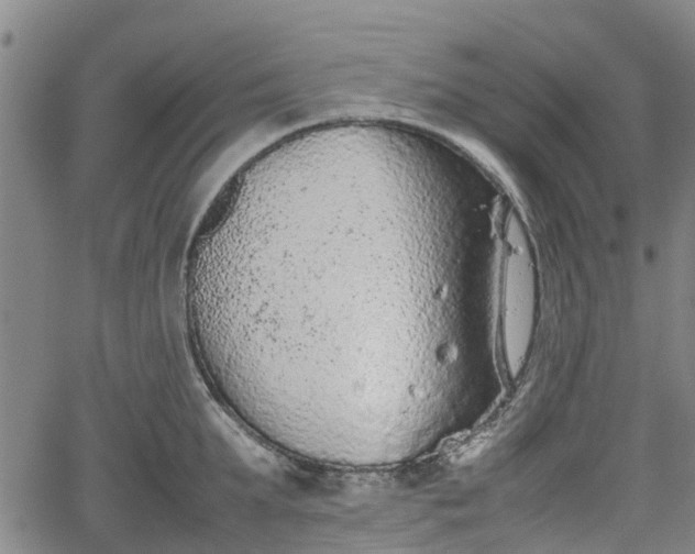 X0000062170903200512161248