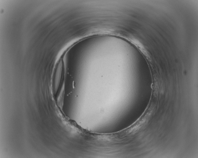 X0000062170904200512161248