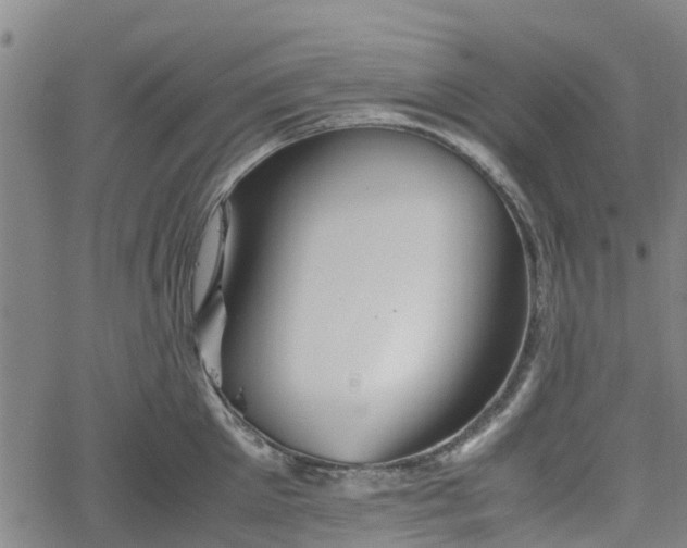 X0000062170905200512161248