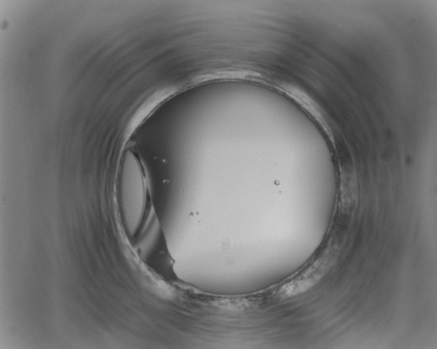 X0000062170906200512161248