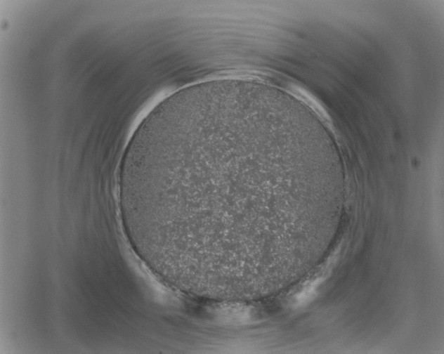 X0000062170907200512161248