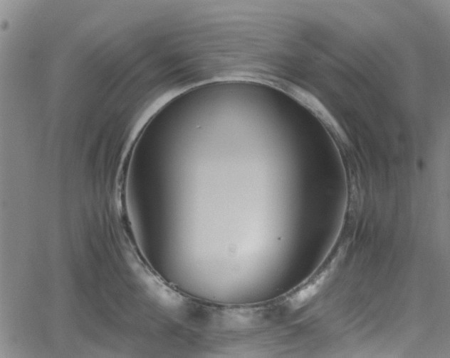 X0000062170908200512161248