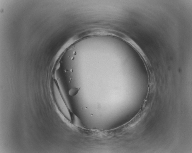 X0000062170909200512161248