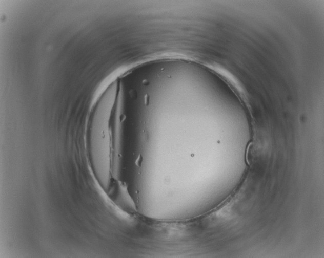 X0000062170910200512161248