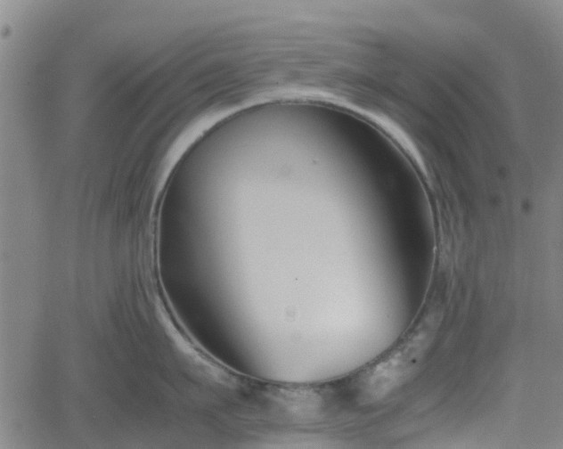 X0000062170911200512161248