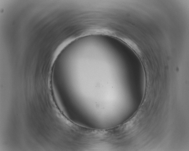 X0000062170912200512161248