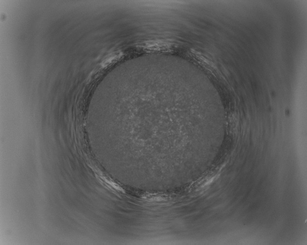 X0000062170913200512161247