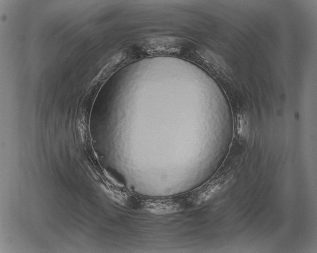 X0000062170915200512161247