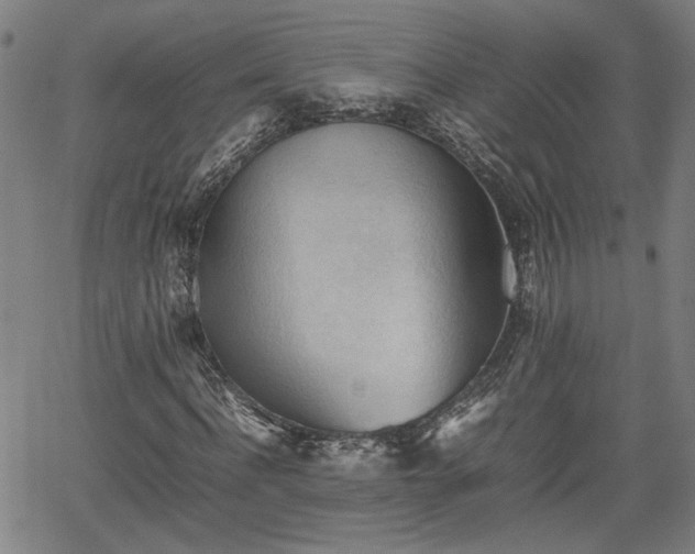 X0000062170916200512161247