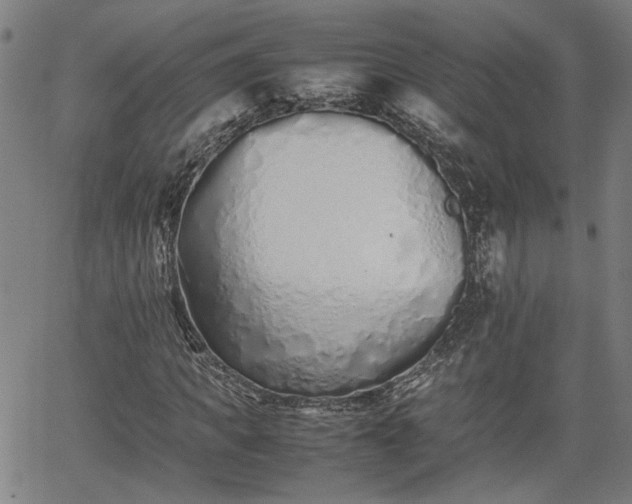 X0000062170917200512161247