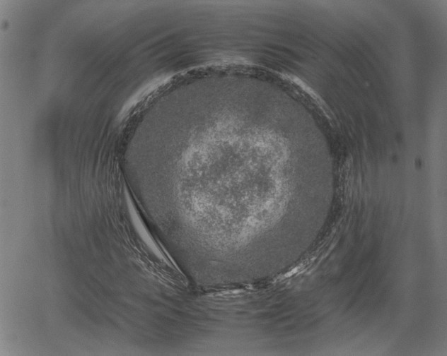 X0000062170919200512161247