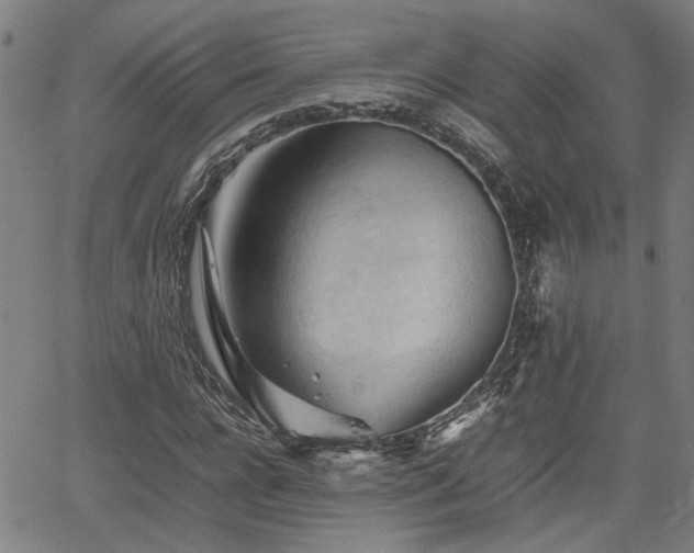 X0000062170920200512161247