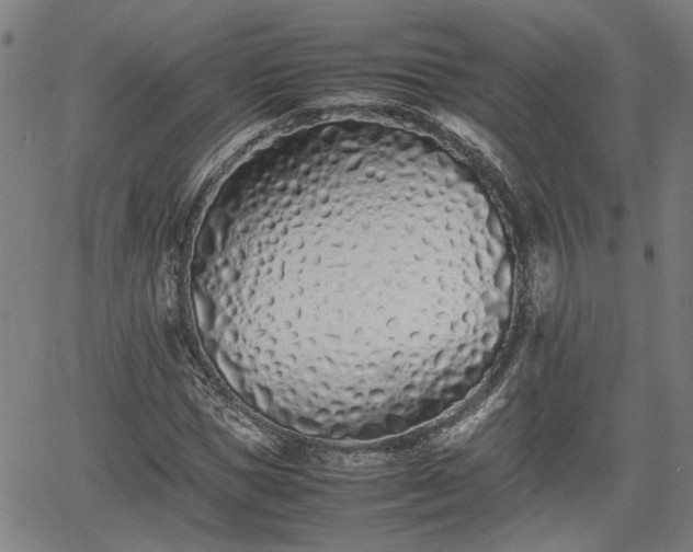 X0000062170921200512161247