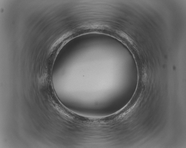 X0000062170922200512161247