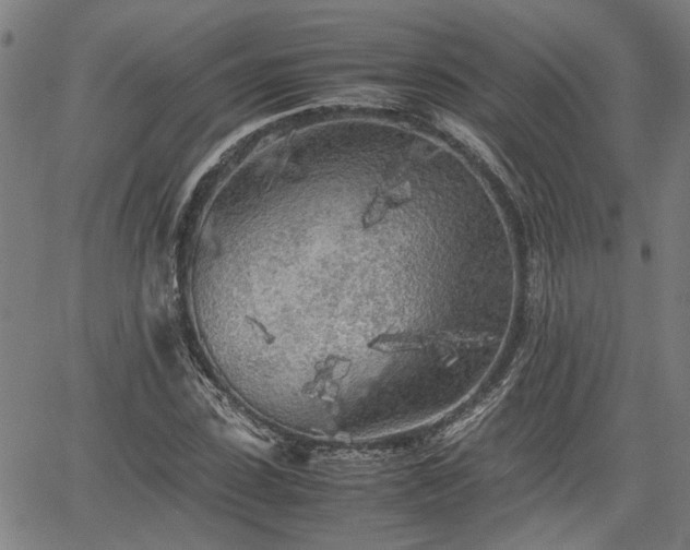 X0000062170923200512161247